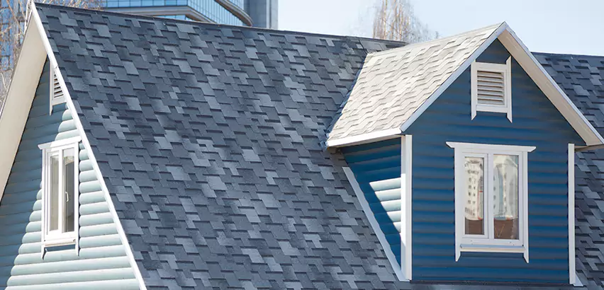 Shingle Roof Maintenance in North Chicago