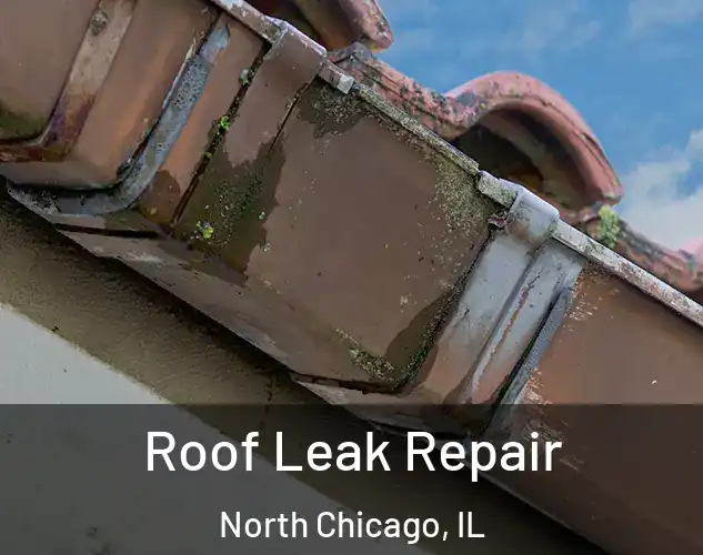  Roof Leak Repair North Chicago, IL